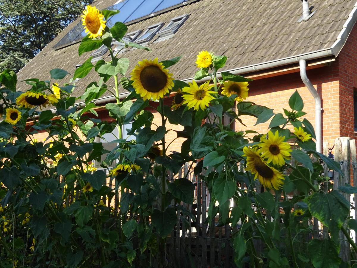 Peanuts Hostel & Meer Surendorf Екстер'єр фото